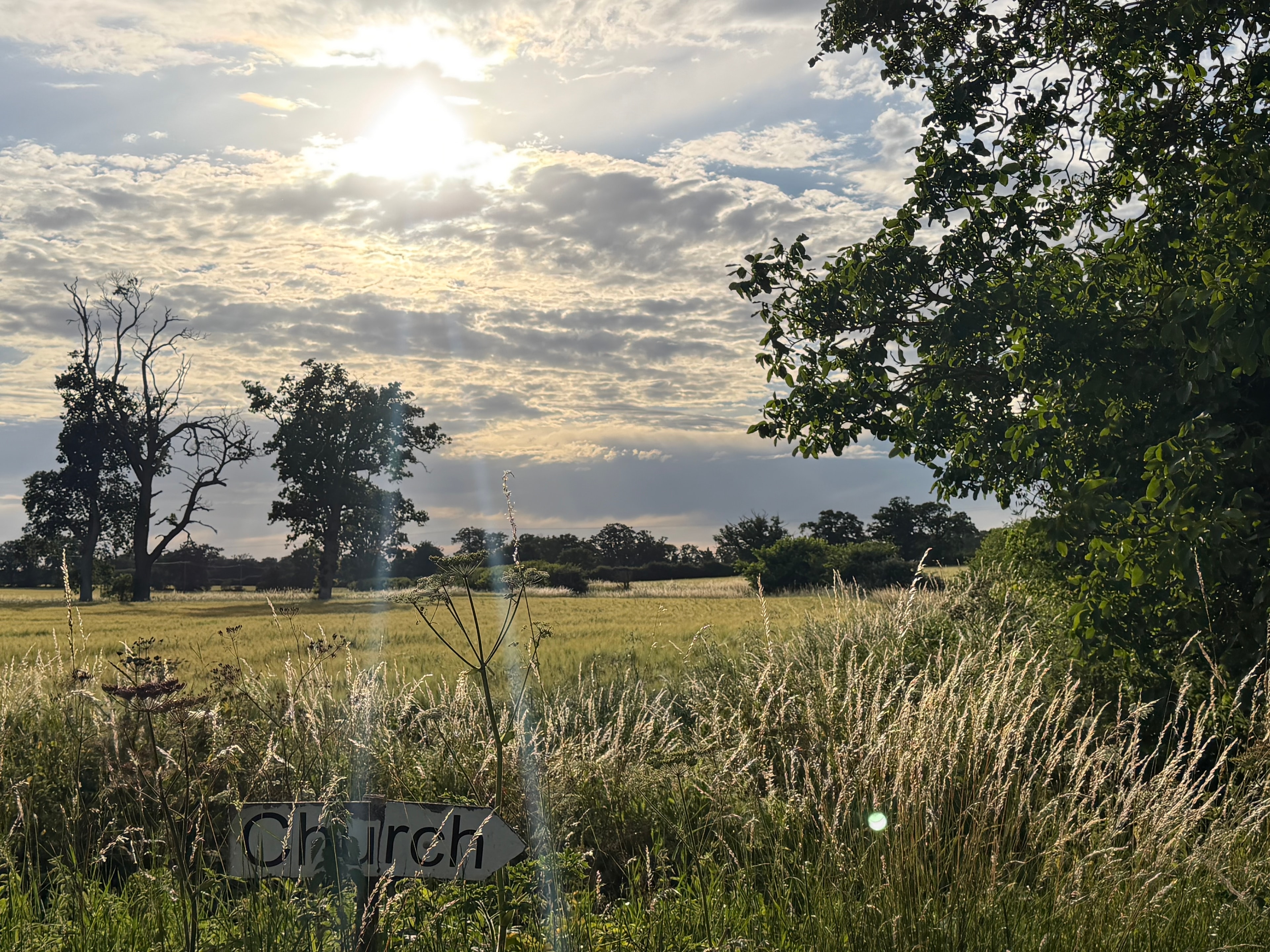 Meadow with church sign and oak trees in the Alde Valley